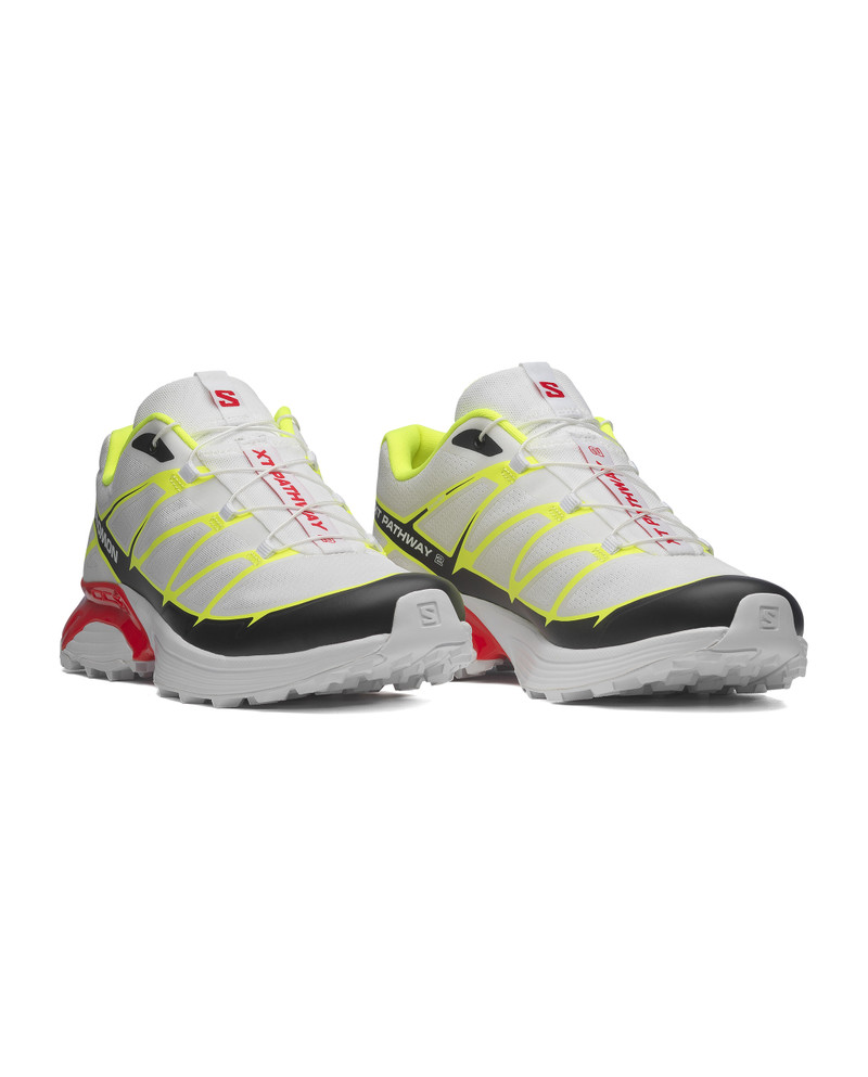 XT-PATHWAY 2 3