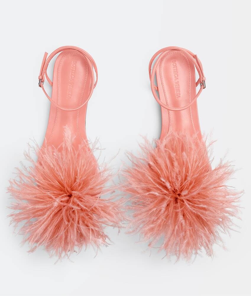 feather dot - 4