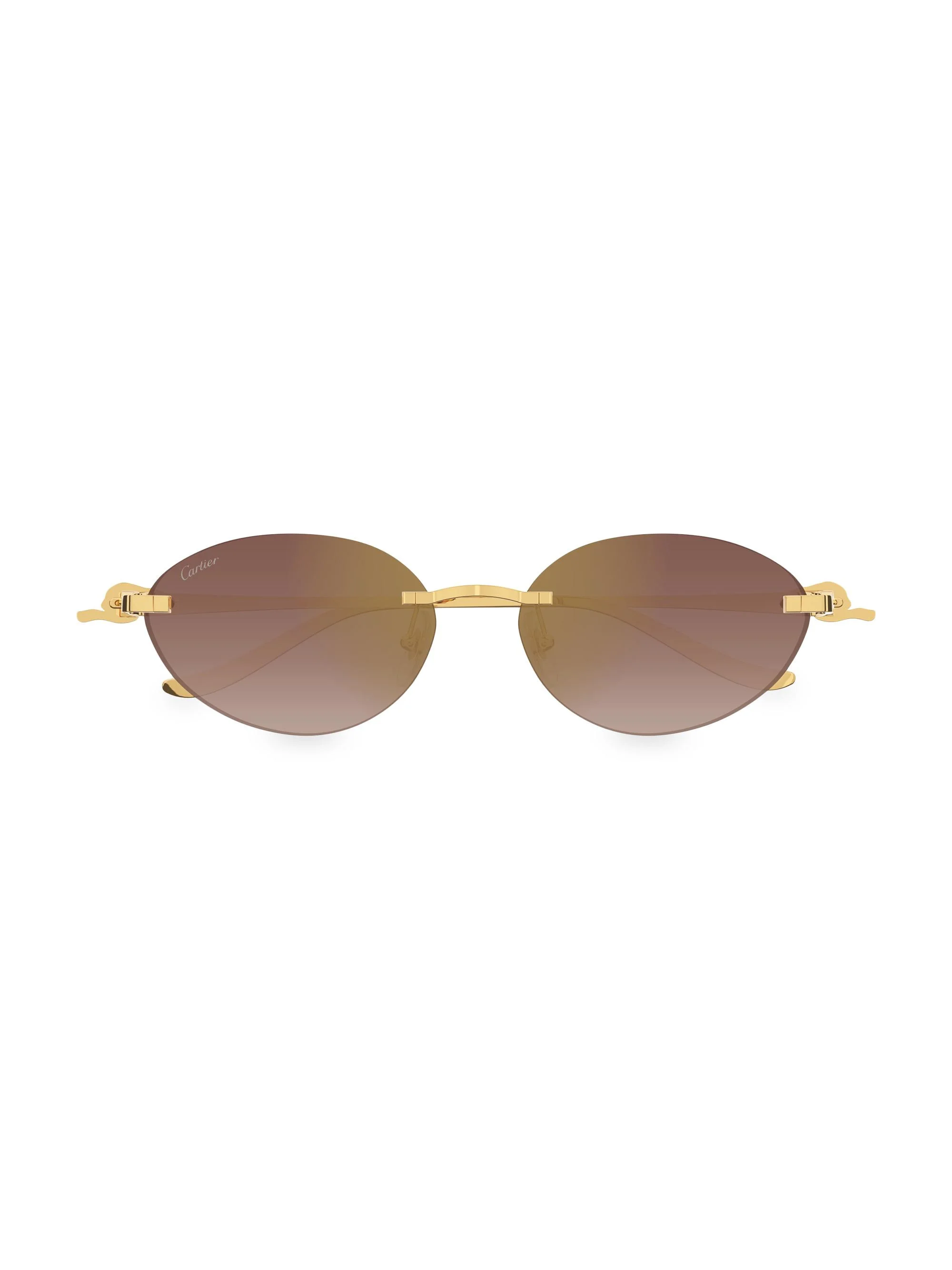 Women's Panthère Classic 58MM Oval Sunglasses - Brown Multi Gold - 1