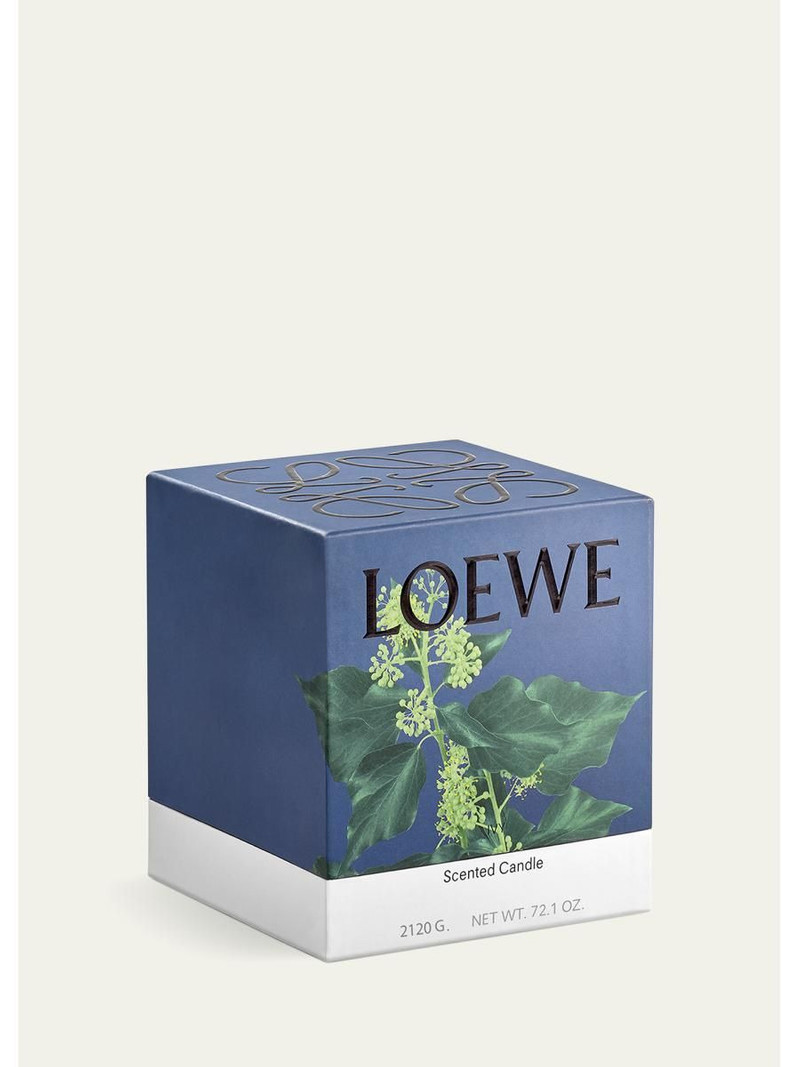 74.8 oz. Large Ivy Candle 4