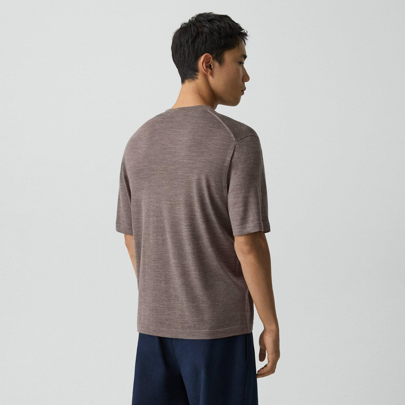 Relaxed Sweater Tee in Regal Wool 4
