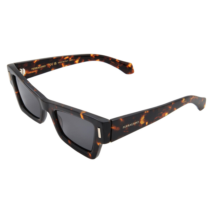 Ferragamo Blue Cat Eye Ladies Sunglasses SF2006S 242 53 - 4