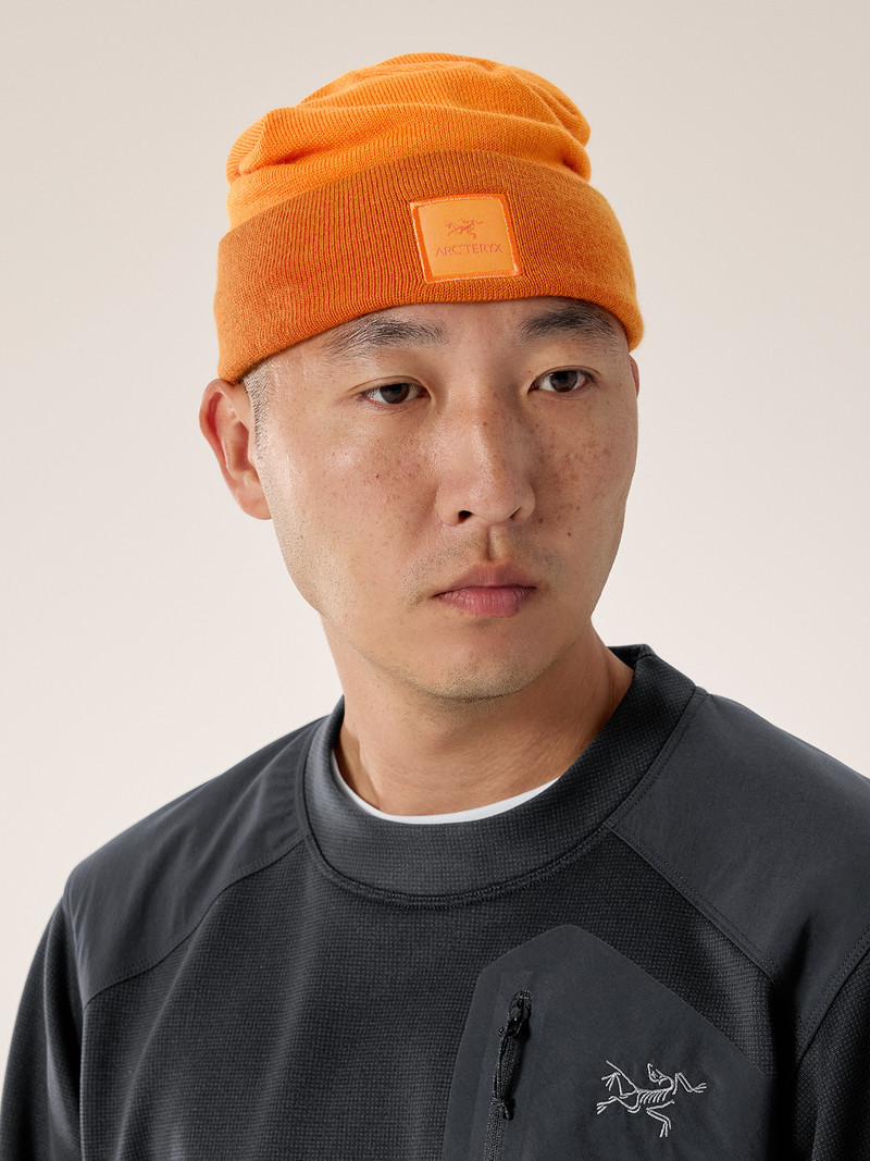 Arc'teryx Colour Block Toque outlook