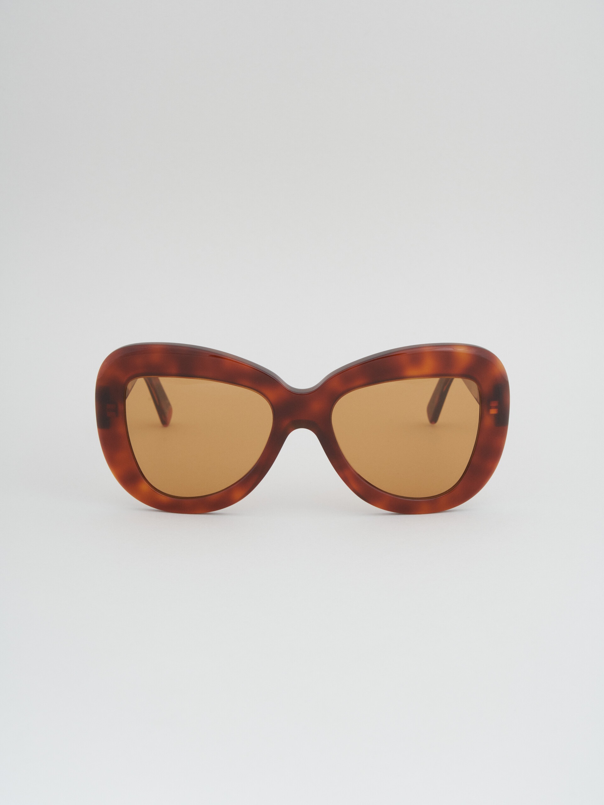 TORTOISESHELL ACETATE ELEPHANT ISLAND SUNGLASSES - 1