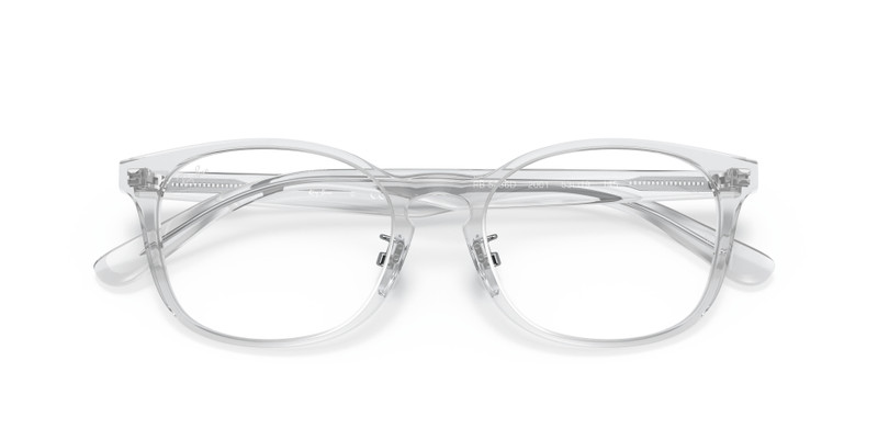 Ray-Ban RB5386 OPTICS outlook