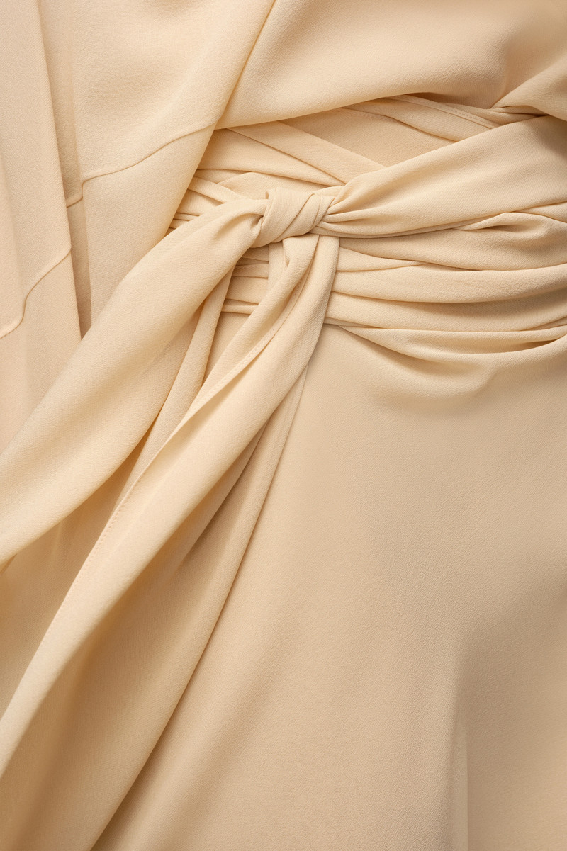 Silk Georgette Dress 4