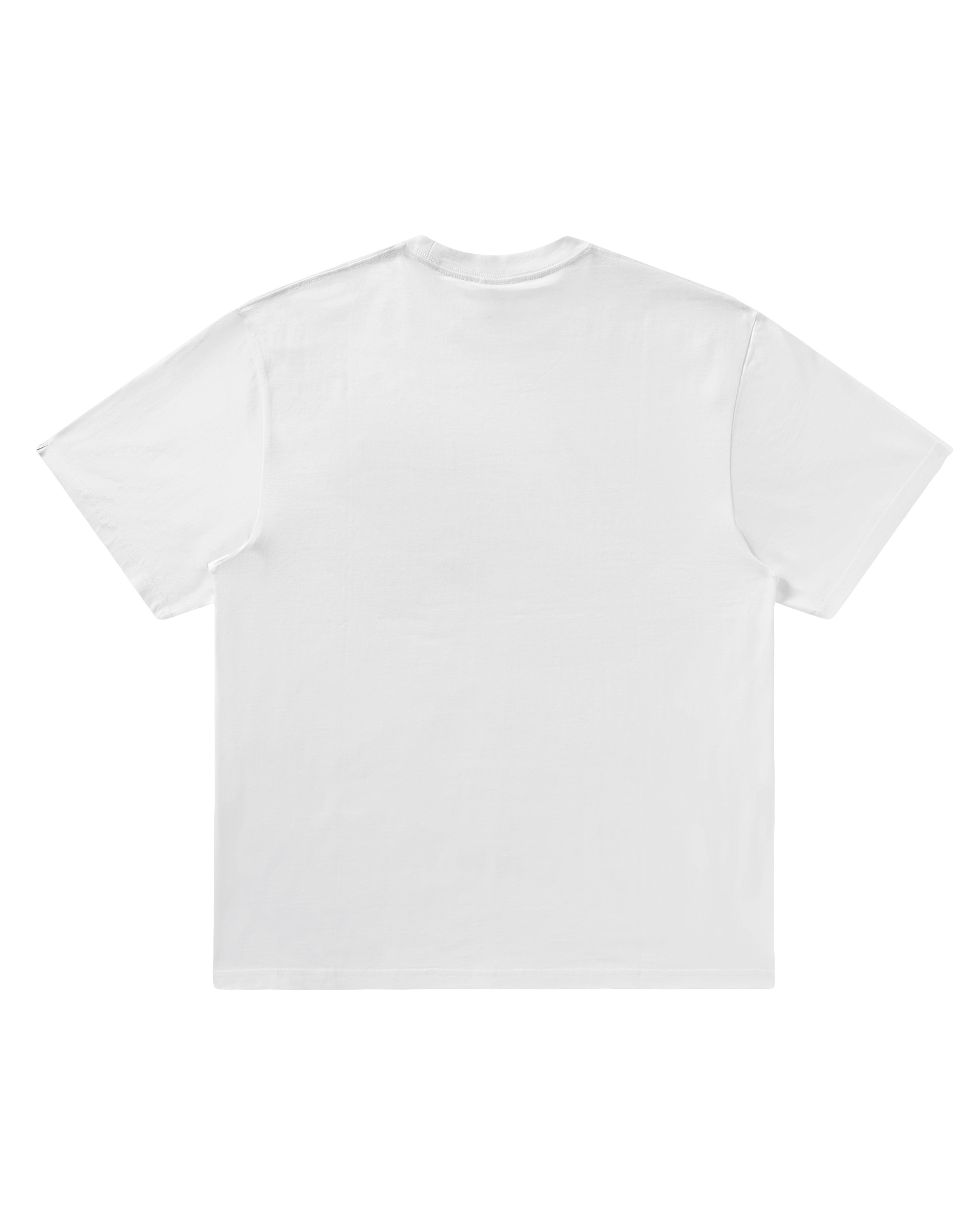 FLAVOURS TEE - 2