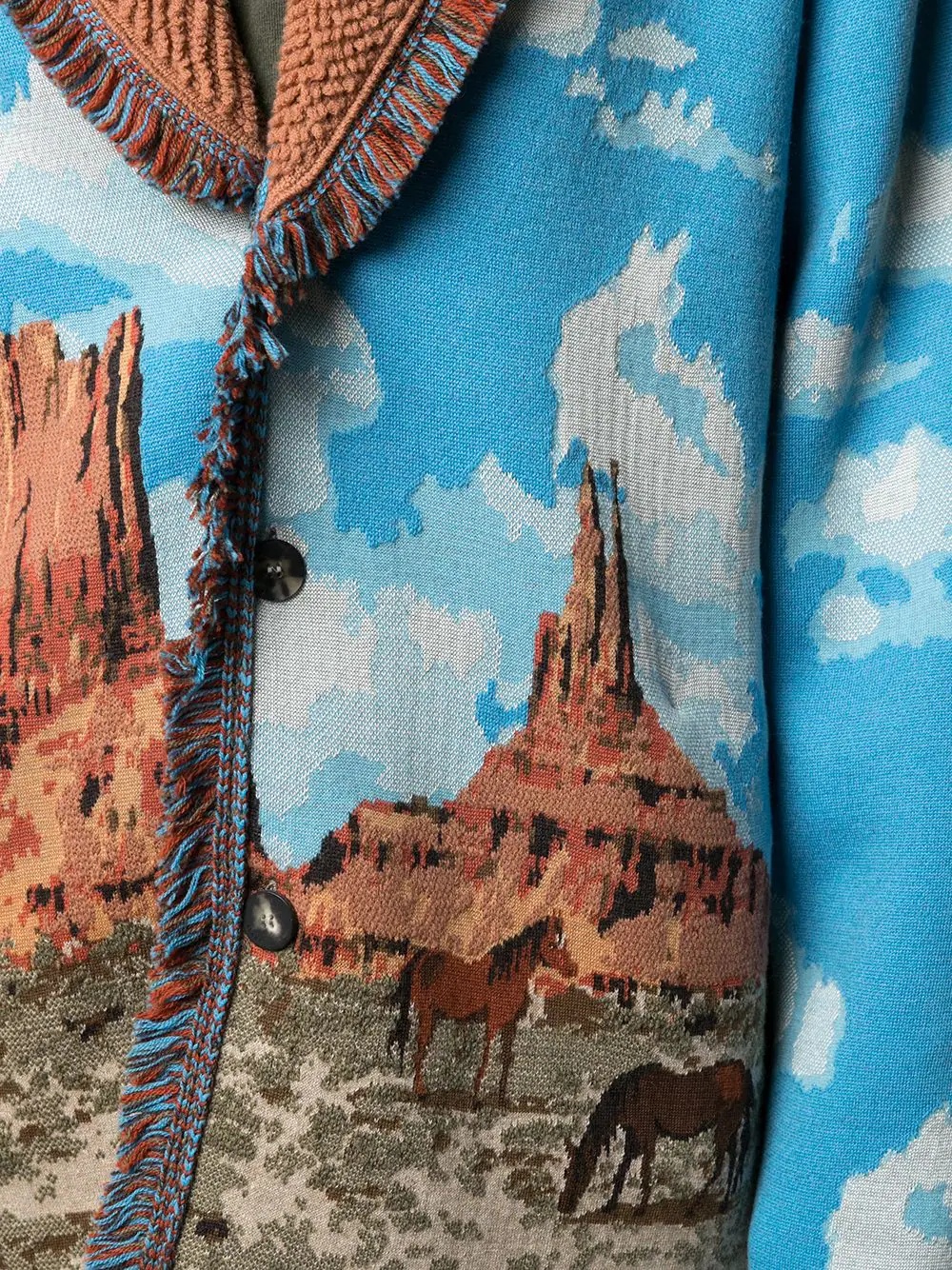 The Monument Valley Horse cardigan - 5