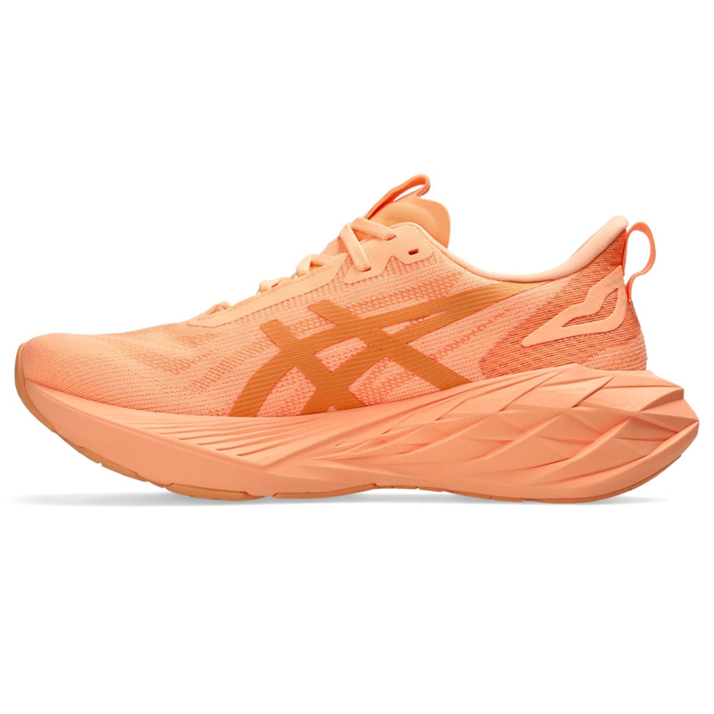 Asics NOVABLAST 4 LE outlook