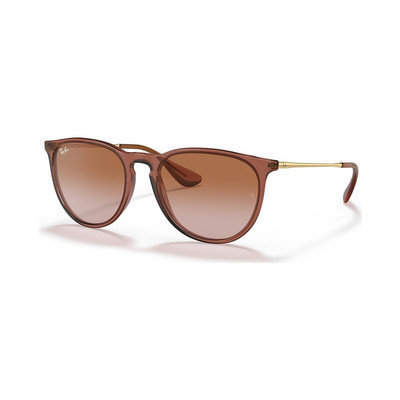 Ray-Ban RB4171 Erika Classic outlook