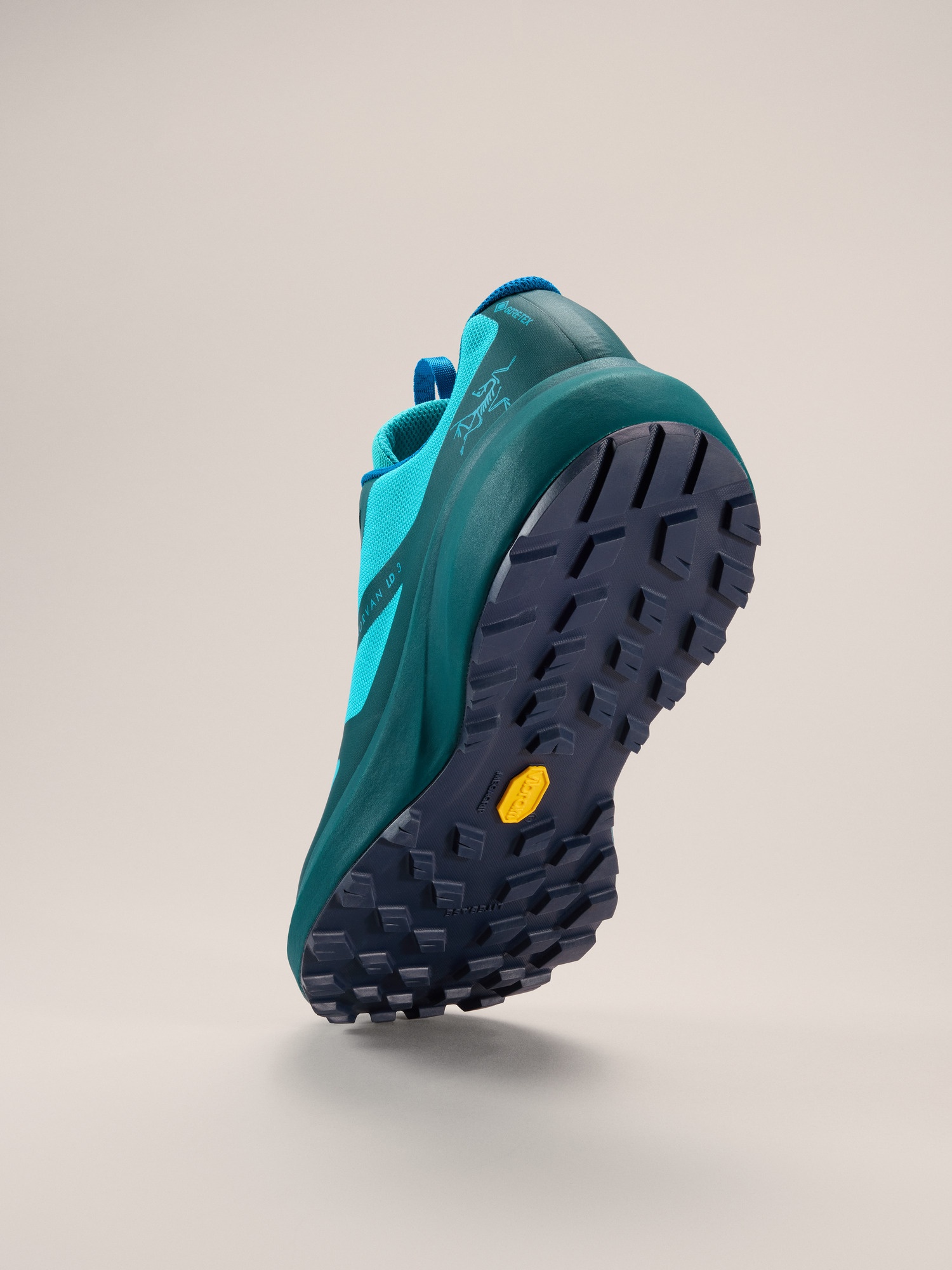 Norvan LD 3 GTX Shoe - 4