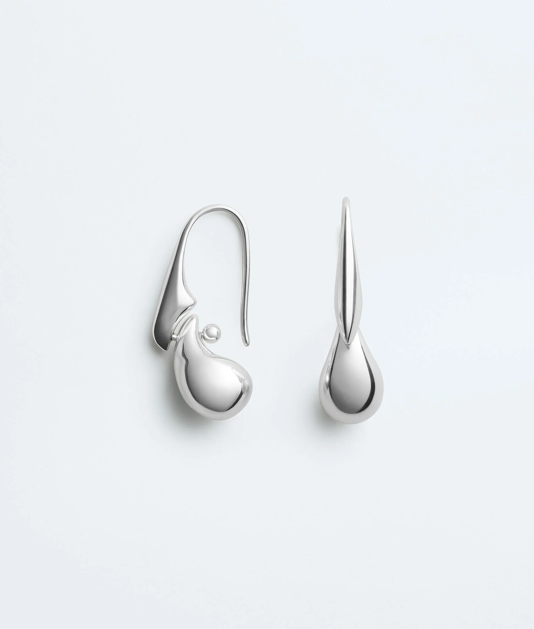 Drop Pendant Earrings - 1