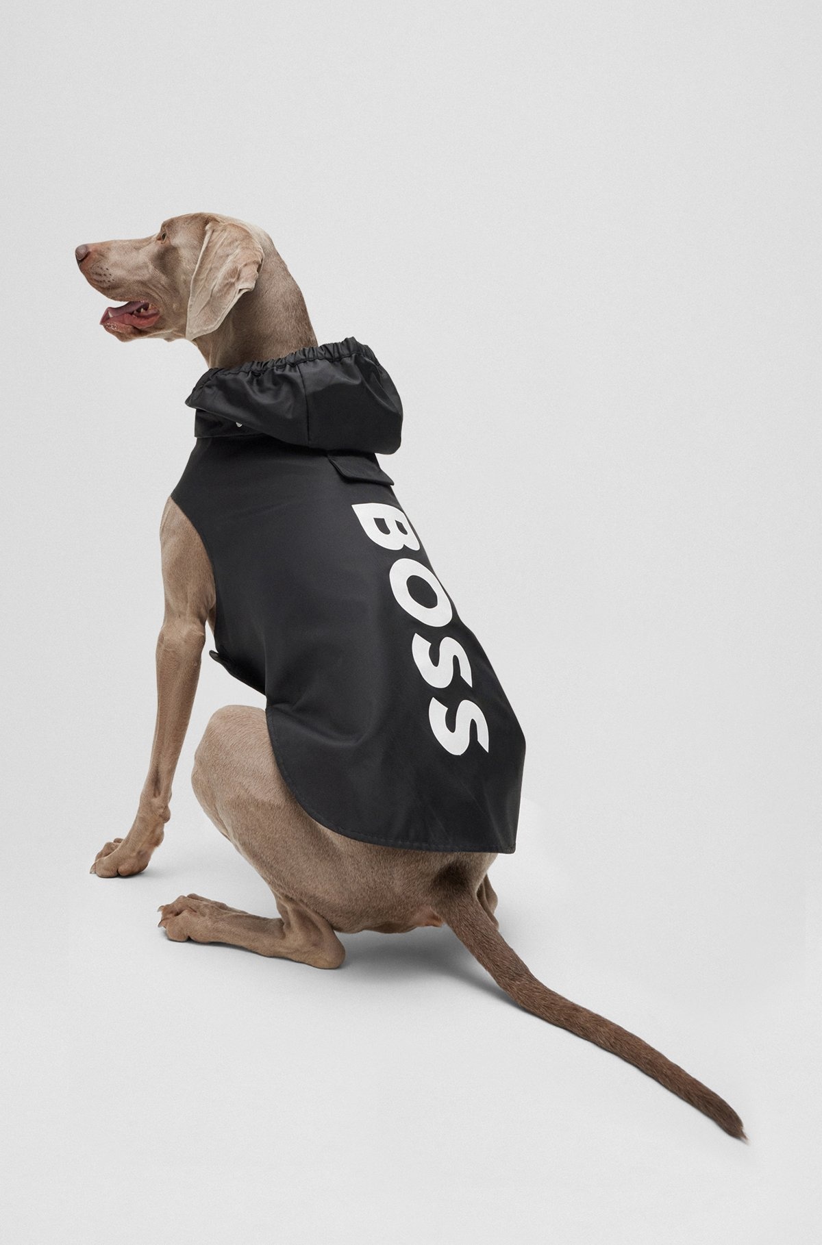 DOG RAINCOAT IN WATERPROOF FABRIC WITH CONTRAST LOGO - 6
