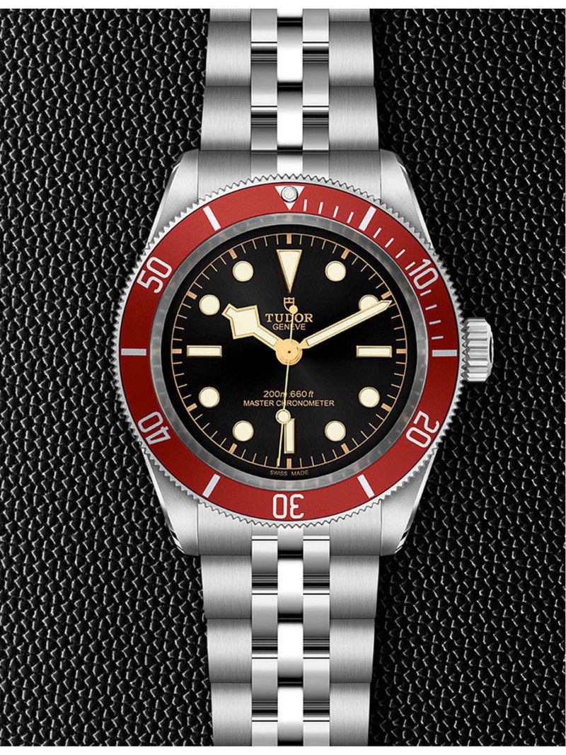 TUDOR M7941A1A0RU-0003 Black Bay stainless-steel automatic watch outlook