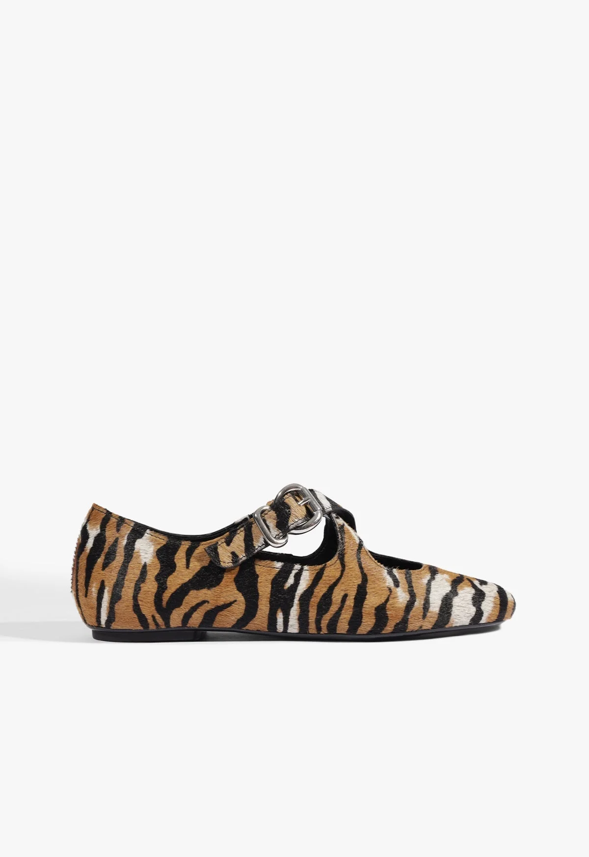 Molly Flat - 1