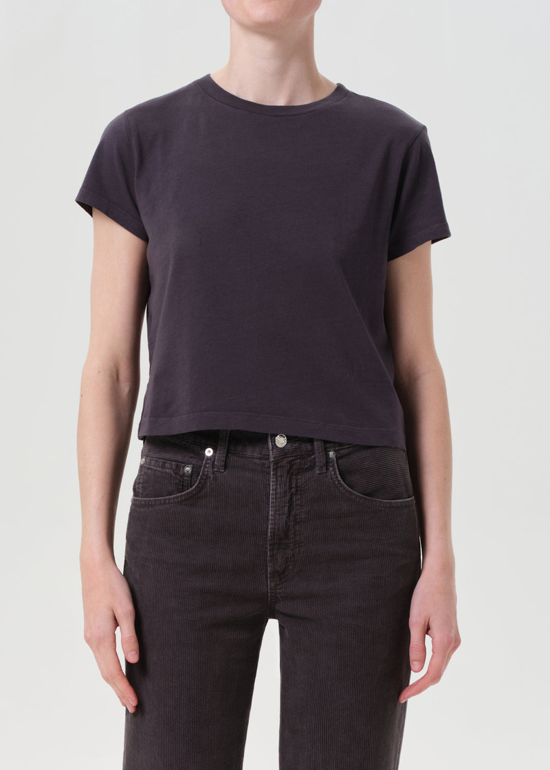 AGOLDE ADINE SHRUNKEN TEE IN SHADE outlook