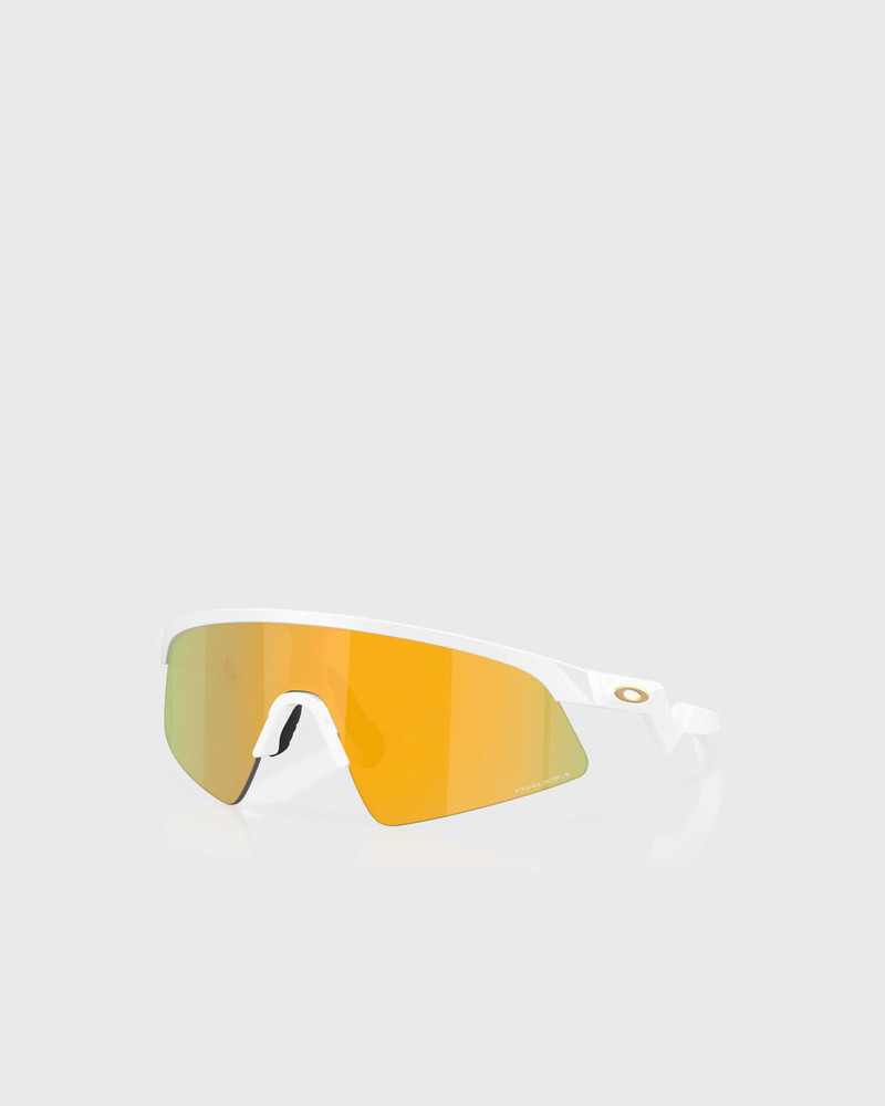 OAKLEY RESISTOR SWEEP outlook
