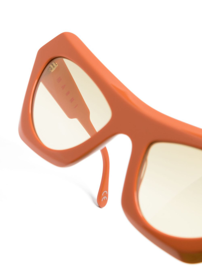Devil's Pool cat-eye frame sunglasses 3