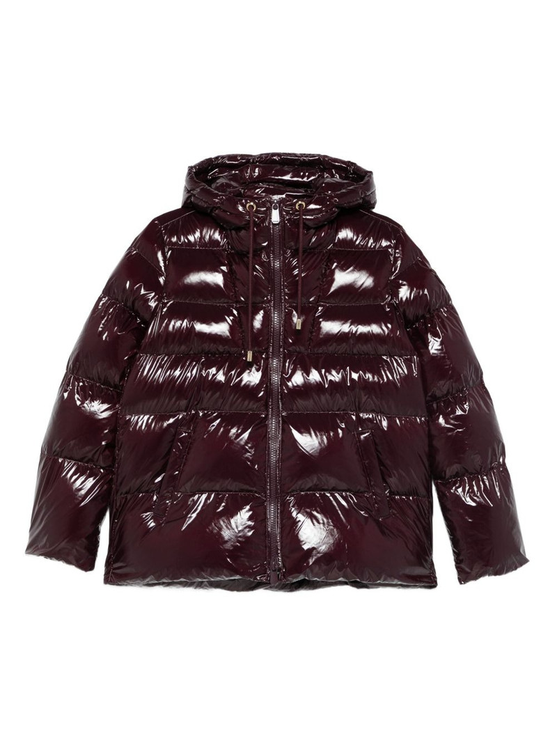 quilted hooded jacket 1