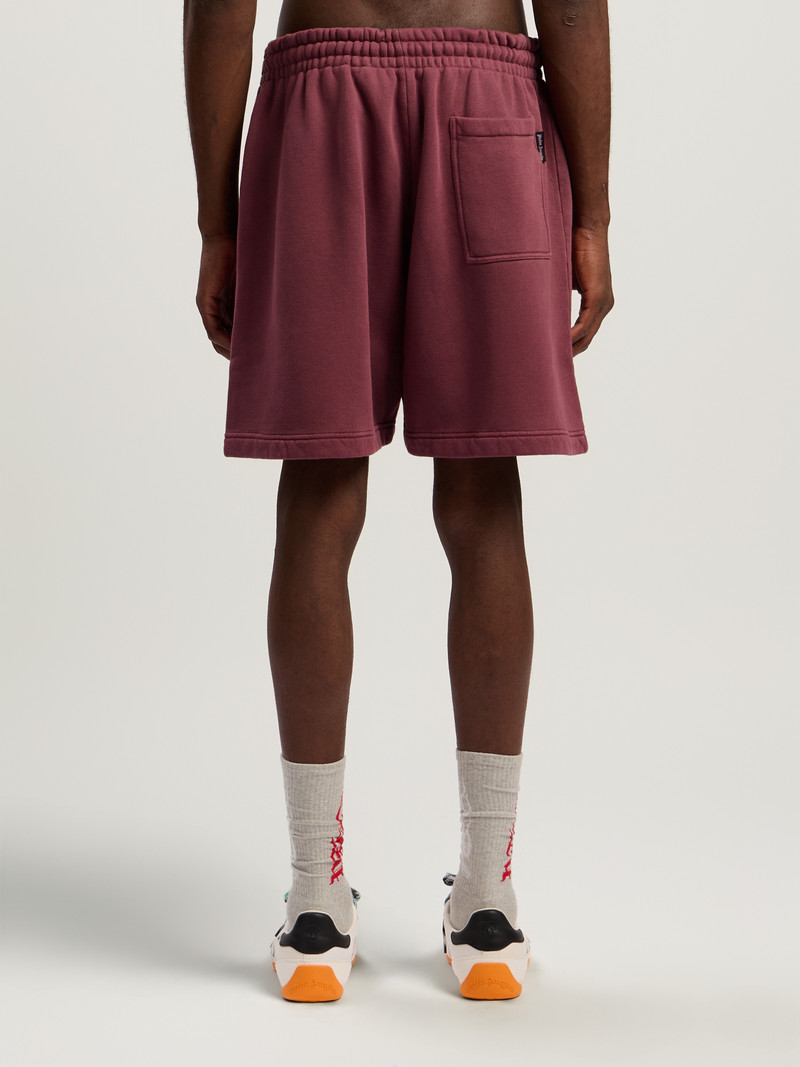 Waist Logo Sweatshort 5