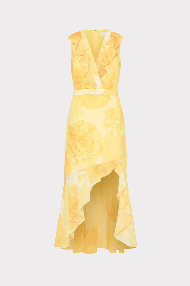 Nanci Printed Midi Dress 1