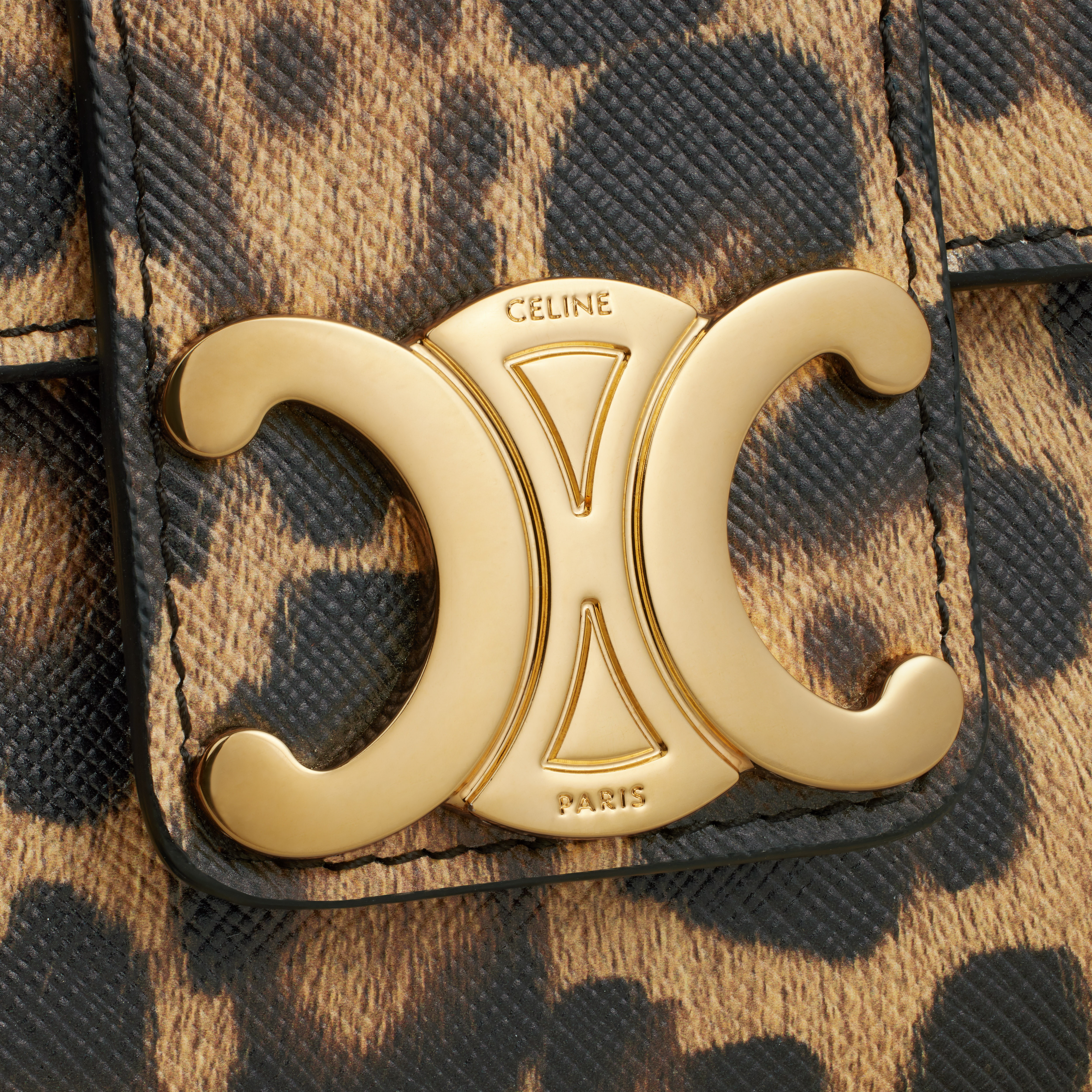 TEEN CELINE VICTOIRE BAG in CELINE CANVAS WITH LEOPARD PRINT - 5