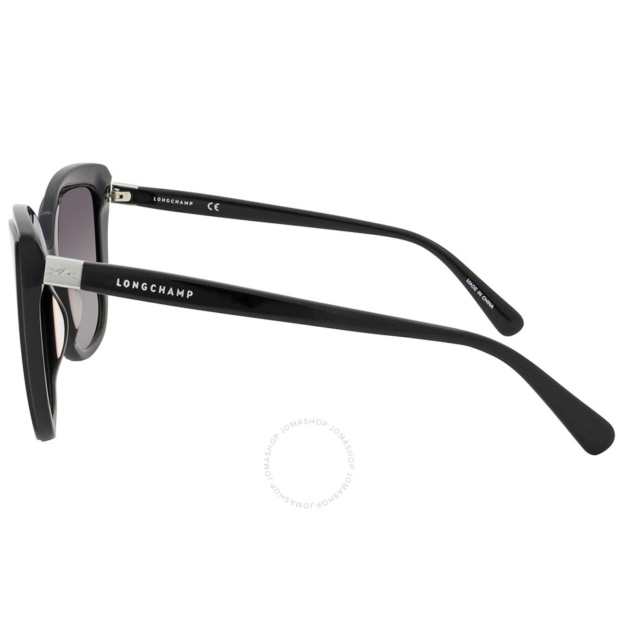 Longchamp Grey Gradient Cat Eye Ladies Sunglasses LO669S 001 56 - 3