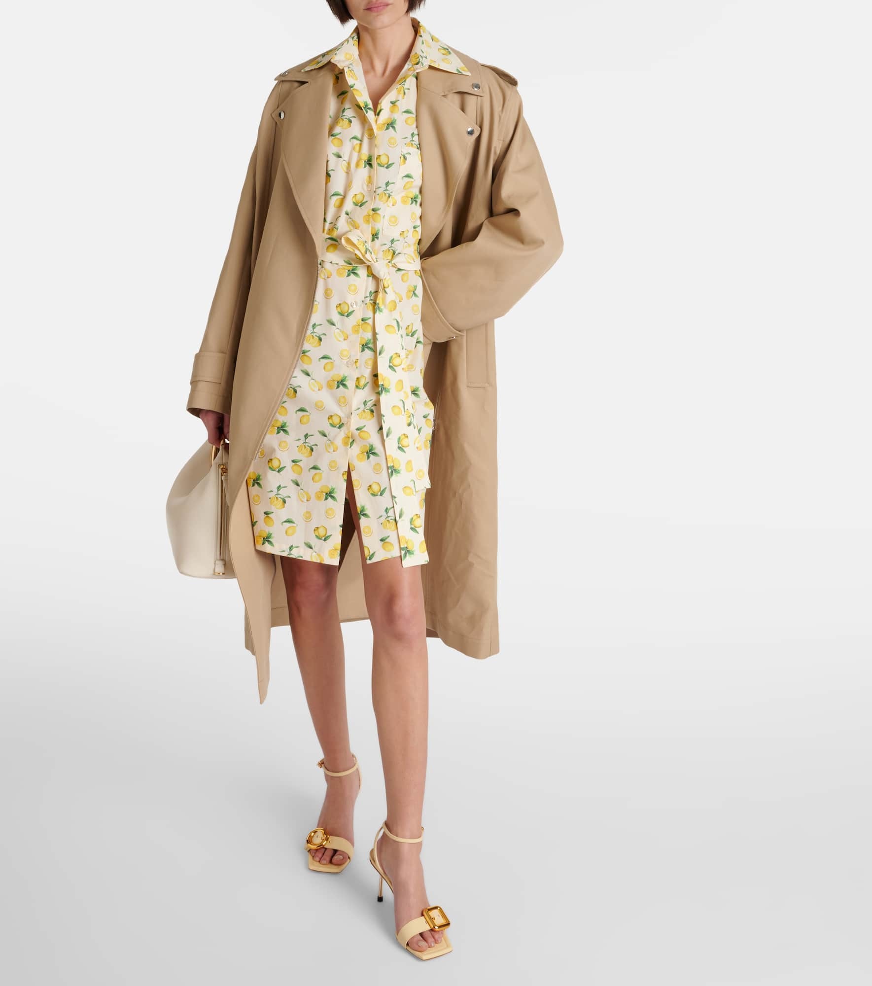 Boero printed cotton shirt dress - 2
