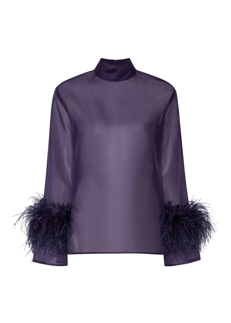 Organza Top With Feathers 1
