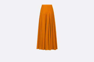 Dior Long Flared Skirt outlook