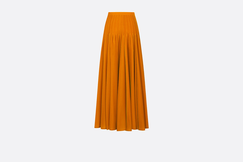 Dior Long Flared Skirt outlook