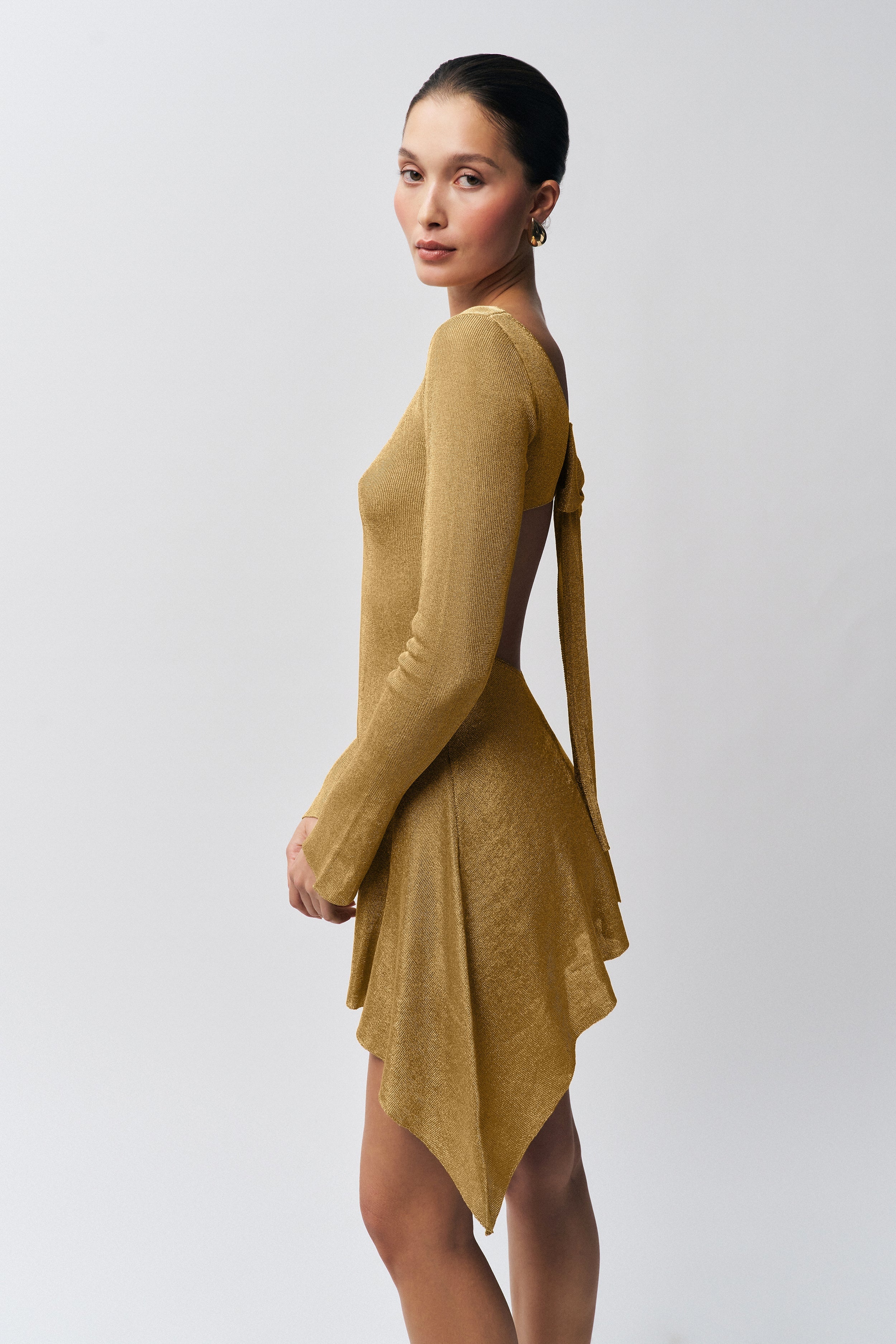 ROSE DRESS - 6