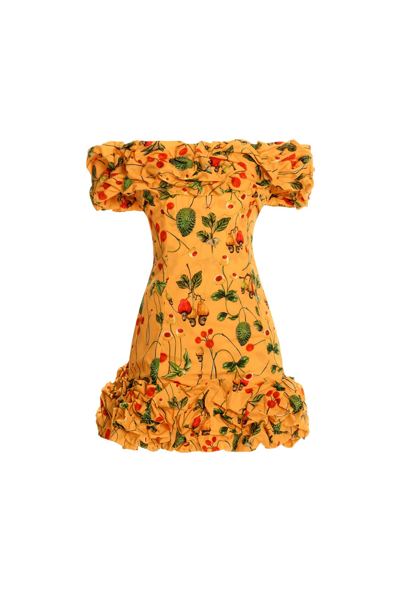 Jardin Frutal Mini Dress 1