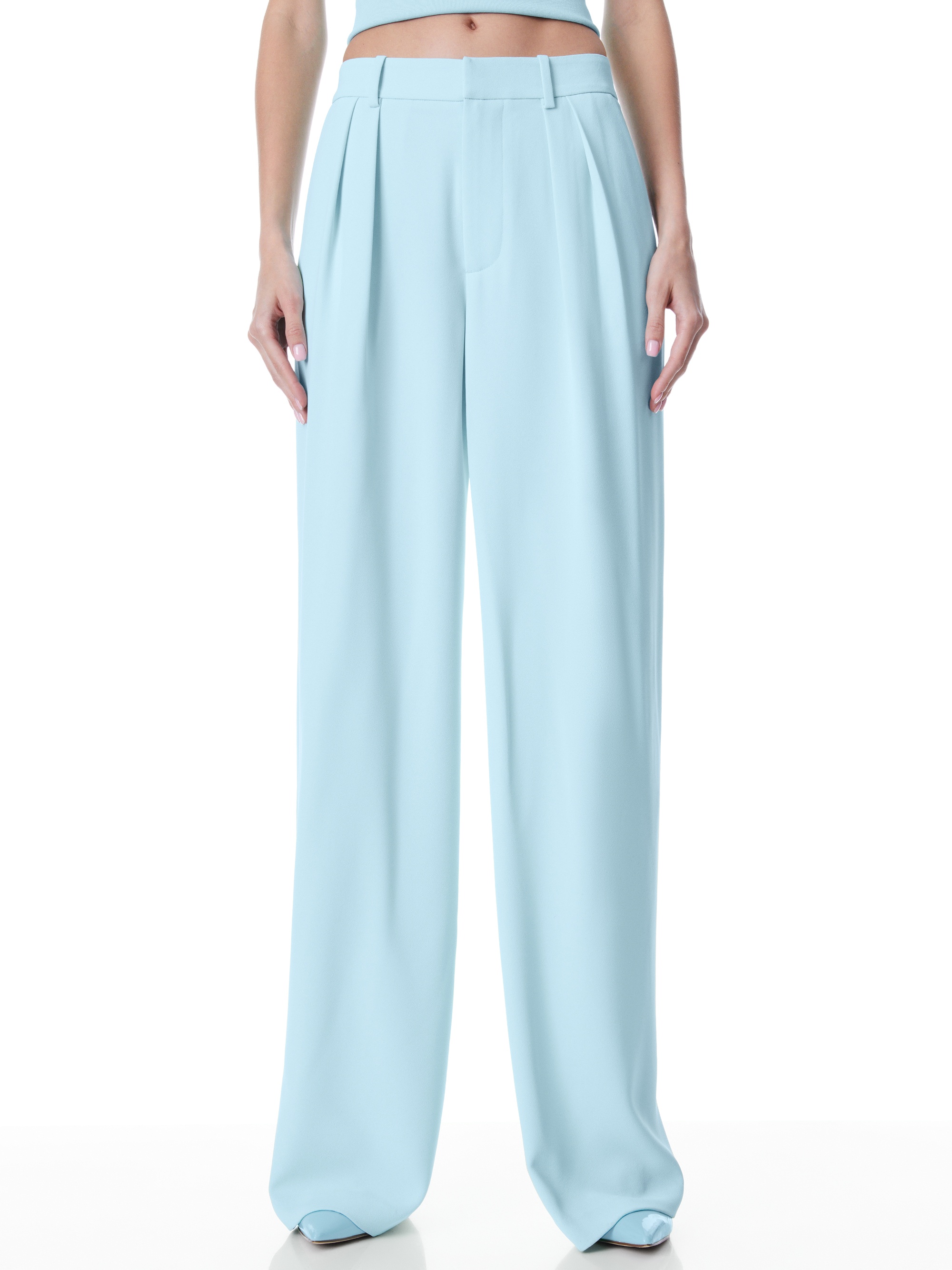 POMPEY HIGH WAISTED PLEATED PANTS - 2