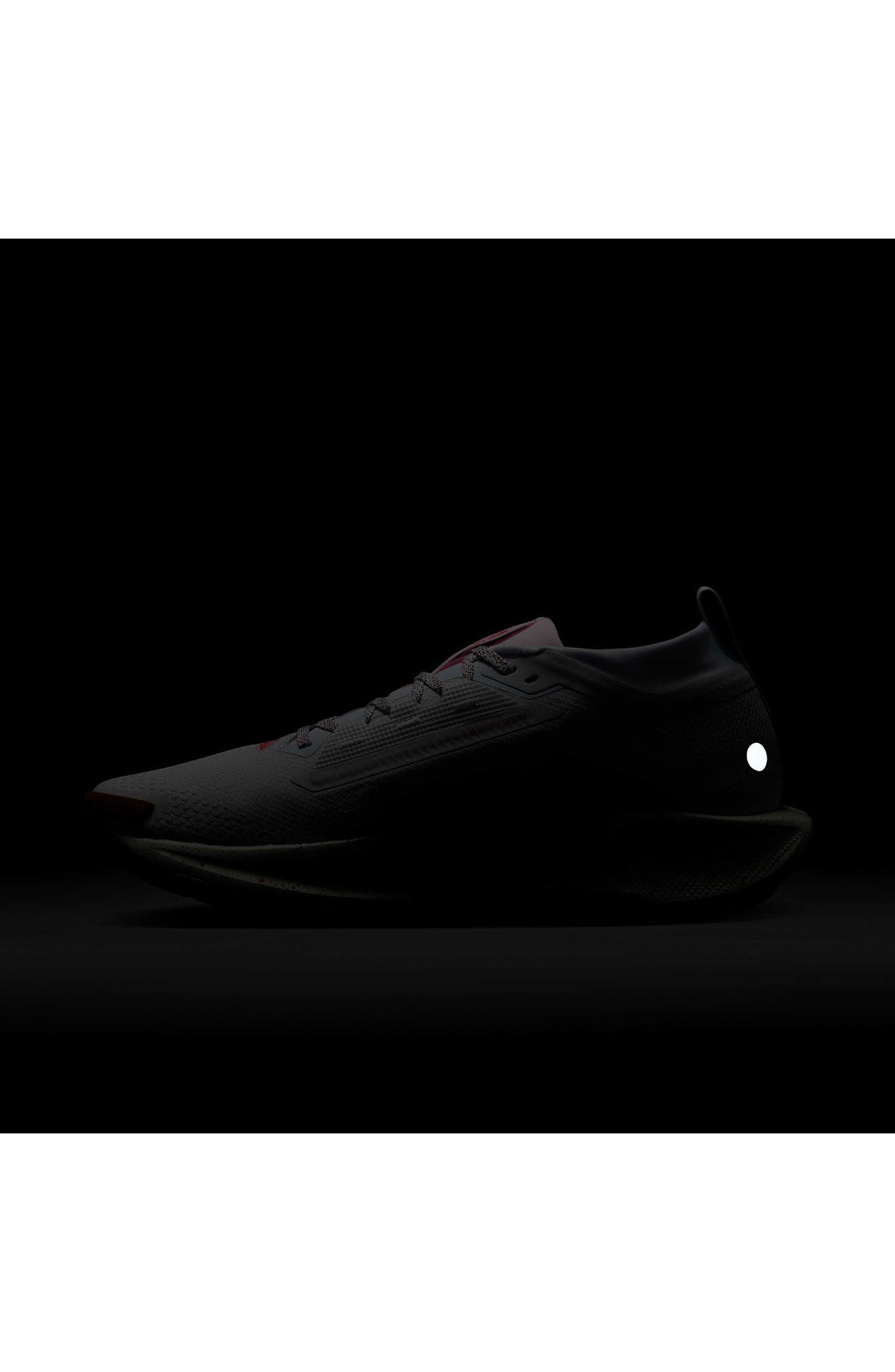 Nike Pegasus Trail 5 Gore-Tex® Waterproof Running Shoe in Pure Platinum/Football Grey at Nordstrom - 7
