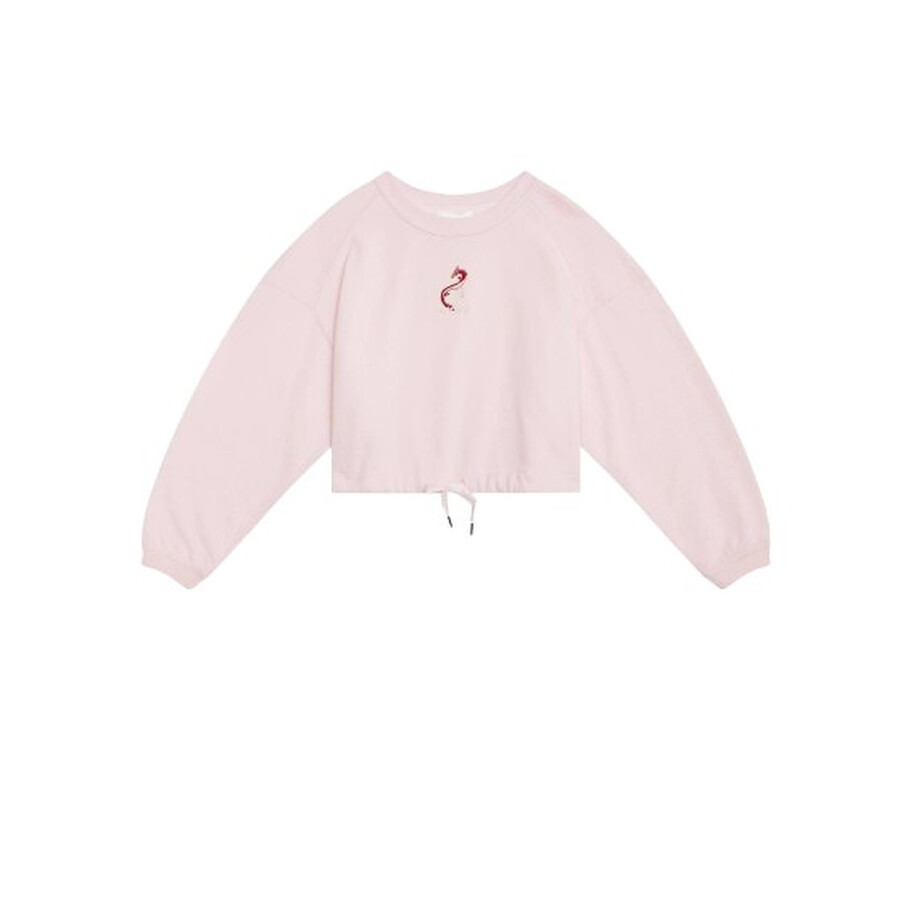 Isabel Marant Ladies Pink Margyo Cotton Sweatshirt - 5