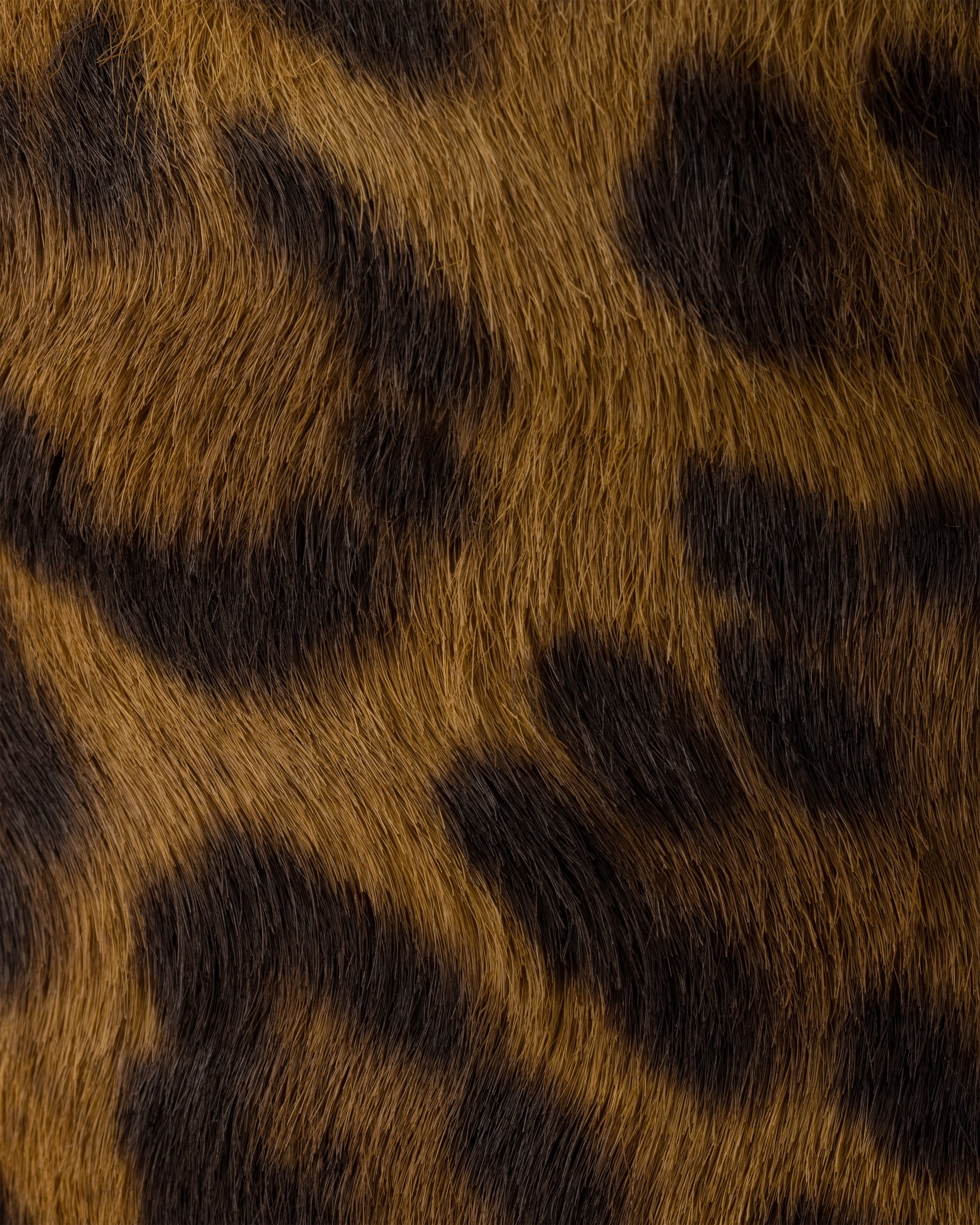 Leopard-print leather mules - 5