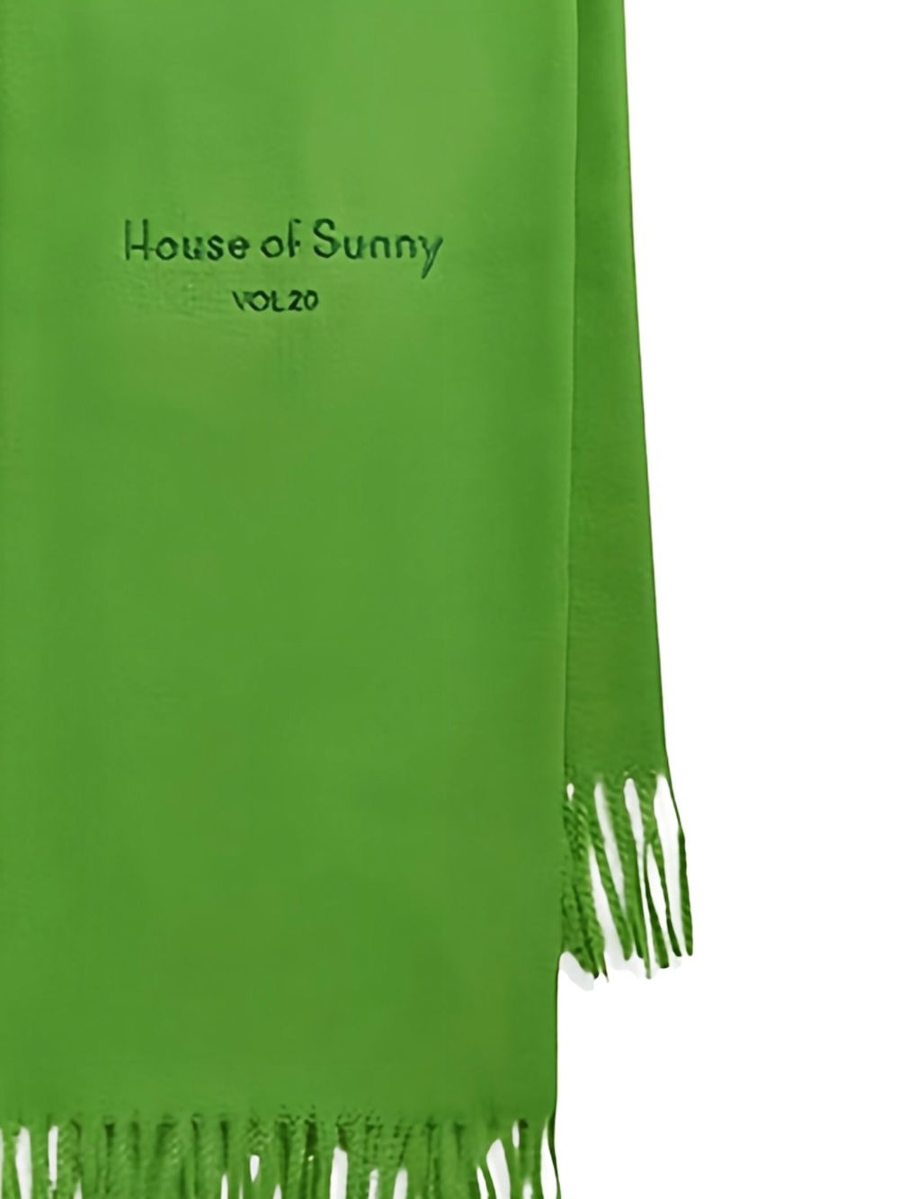 fringed scarf - 2