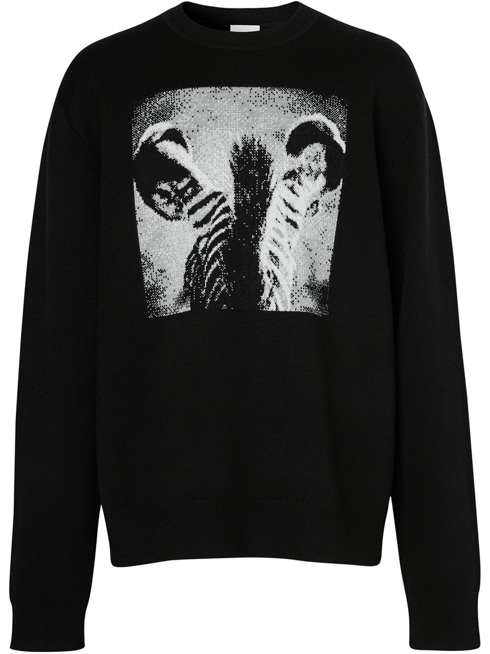 Zebra jacquard jumper - 1