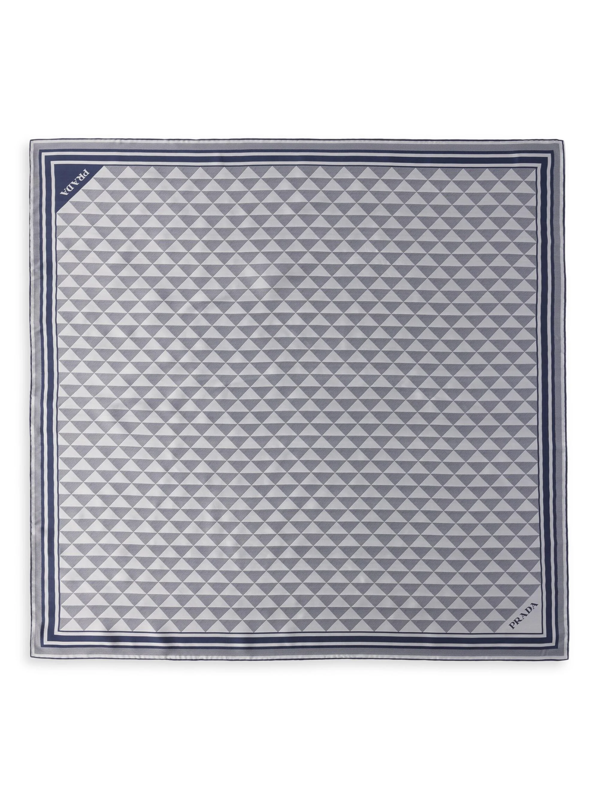 Women's Printed Silk Scarf - Blue - 1