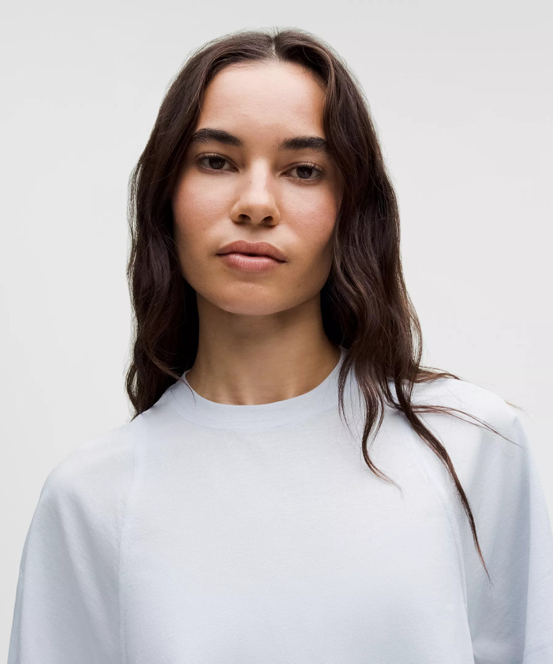 Sheer Crewneck T-Shirt 4