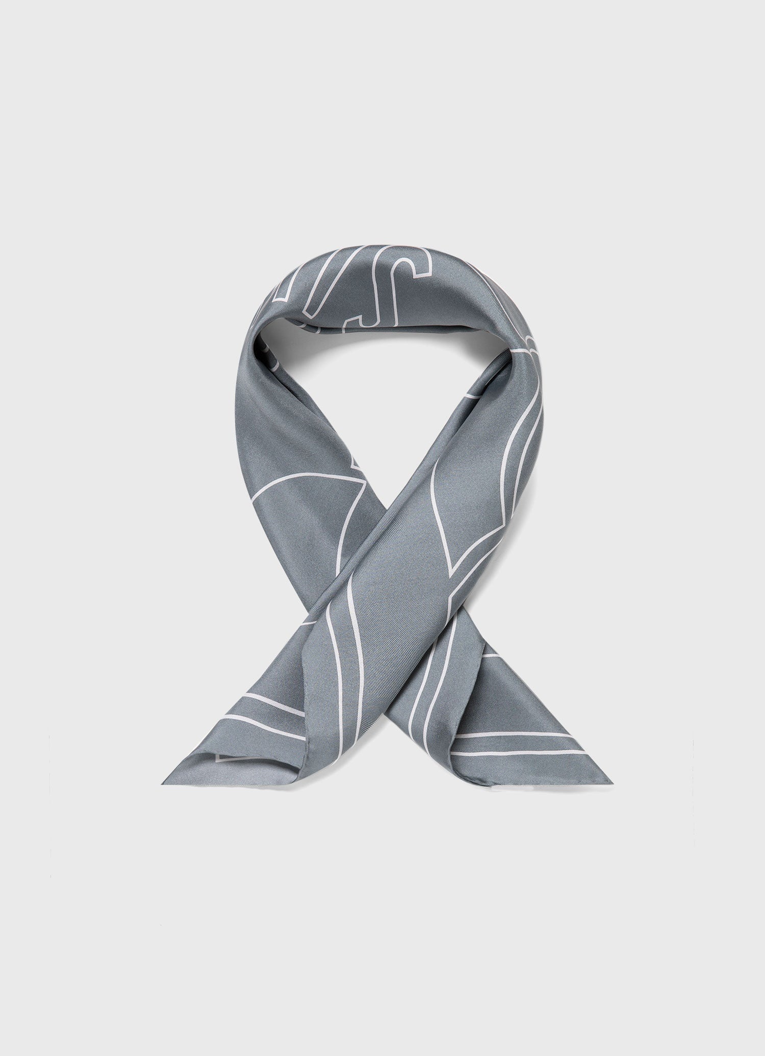 Silk Scarf - 2