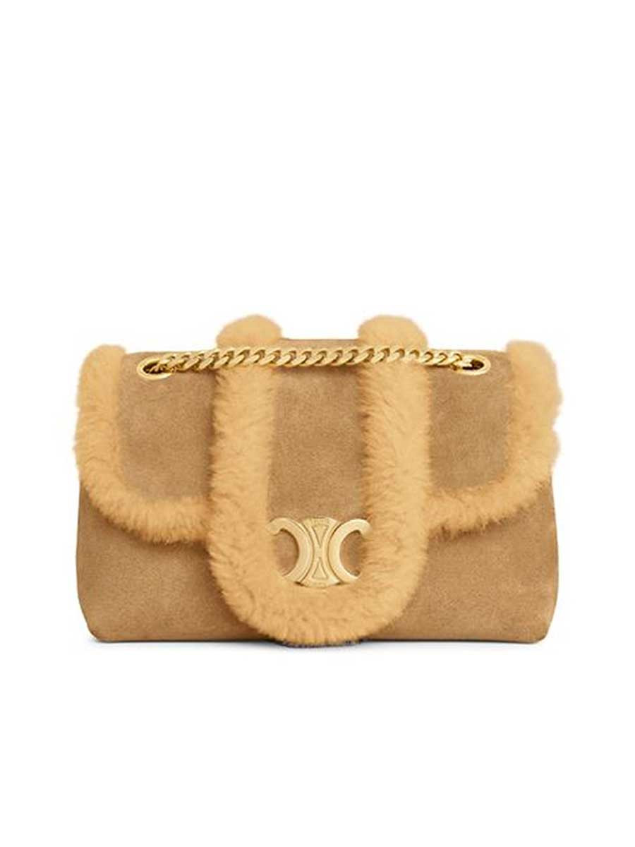 Celine Victoire Teen Shoulder Bag - 1