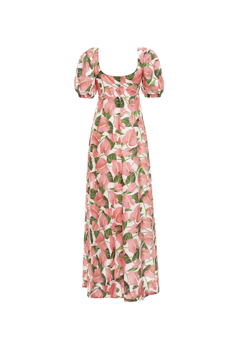 Chocolate Anturios Maxi Dress 3