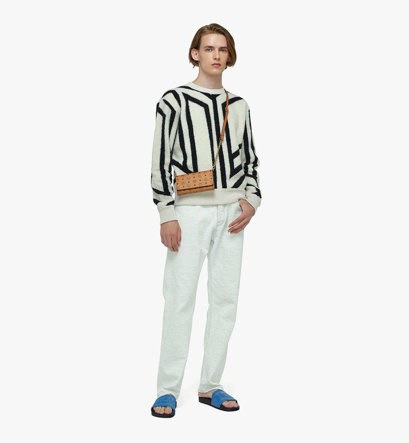 Aren Crossbody Wallet in Visetos 3