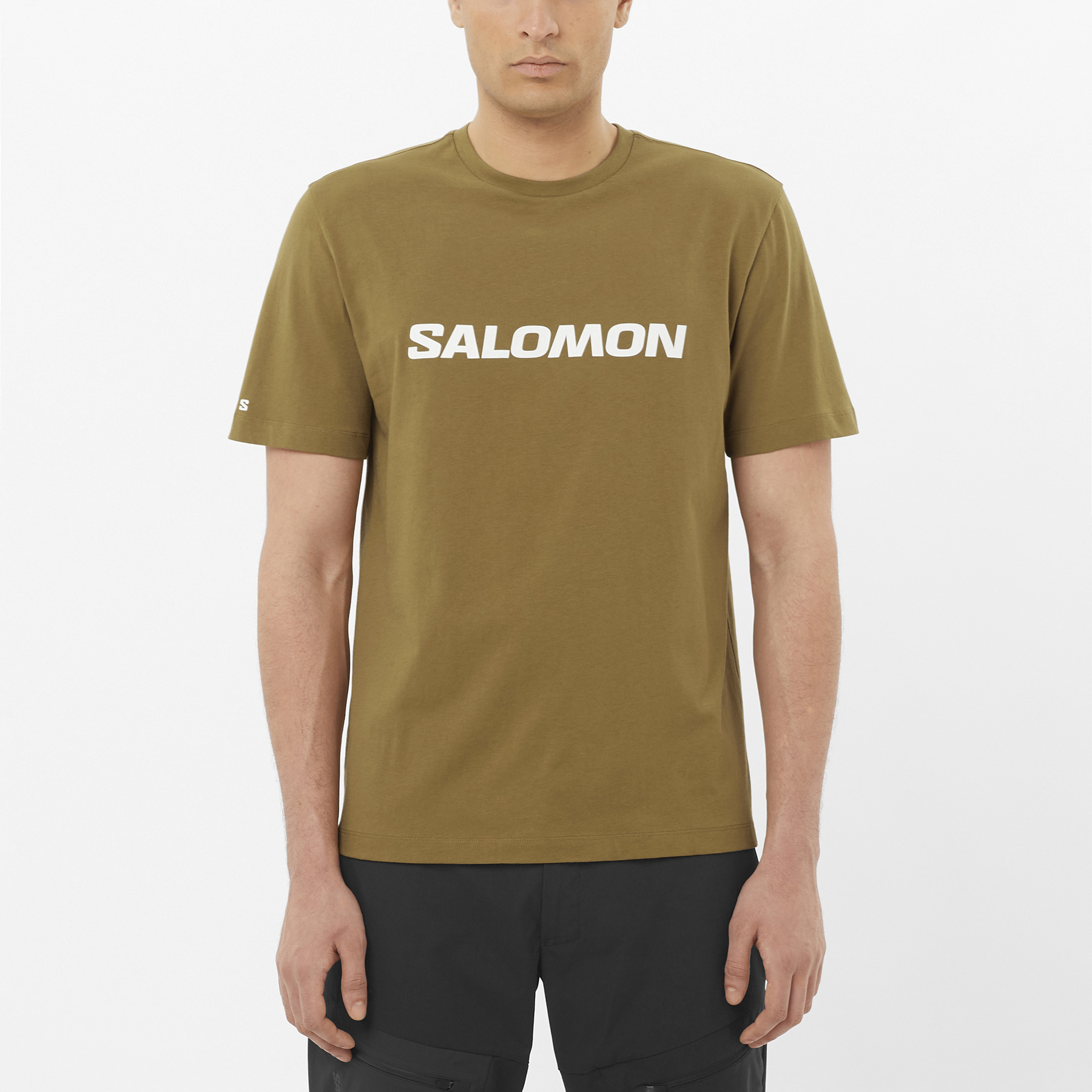 SALOMON LOGO - 1