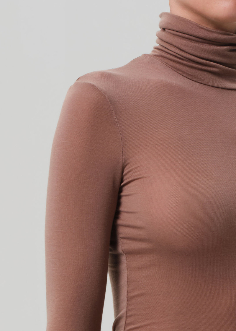 Caradene Turtleneck In Moth 5