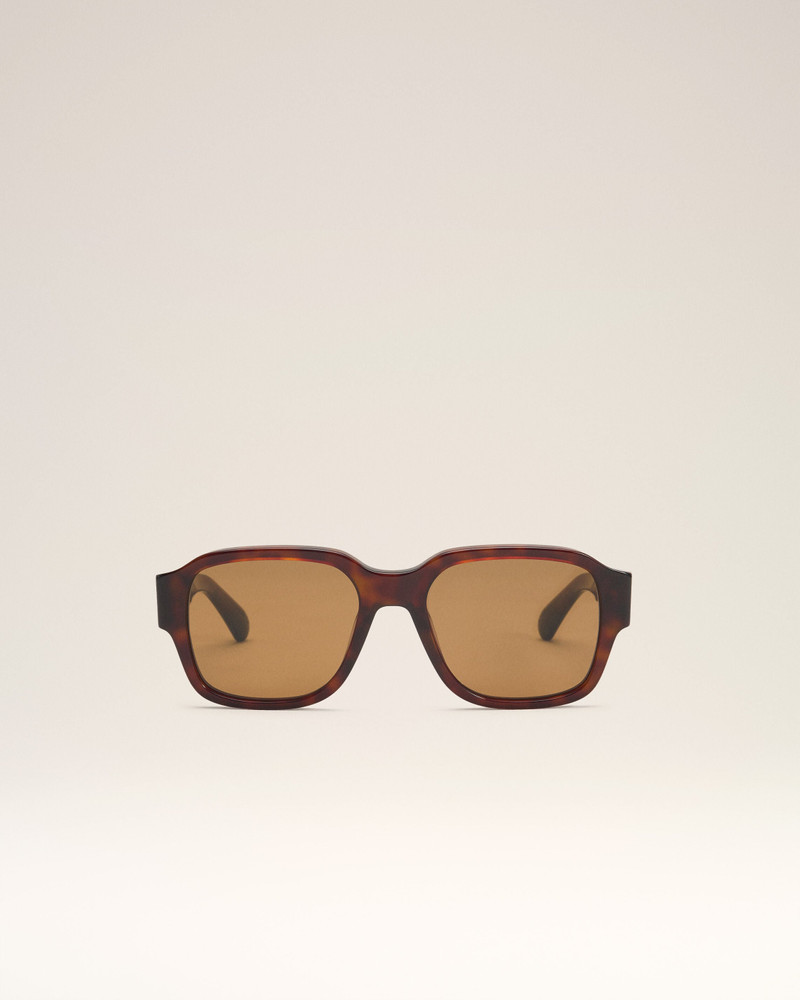 BROWN ACETATE 75006 SUNGLASSES 1