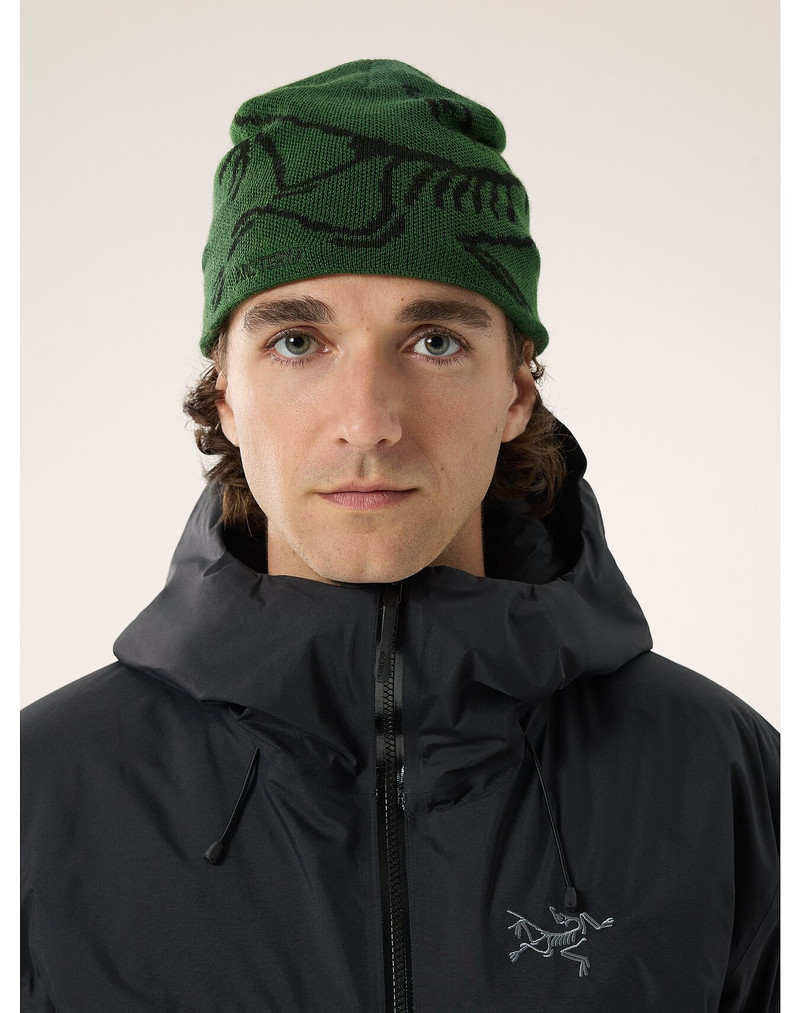 Arc'teryx Bird Head Toque outlook