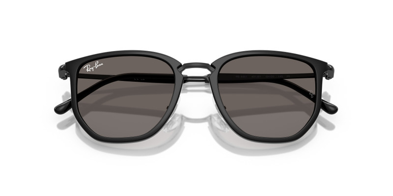 Ray-Ban RB4451 outlook